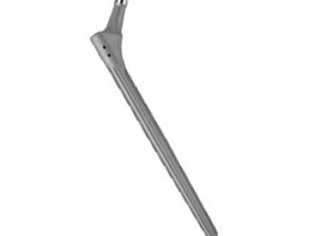 Wagner SL Revision Hip: image from Zimmer